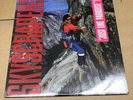 David Lee Roth Skyscraper (ex Van Halen) 1988 Vinyl Album Promo 1st Pressing Exc