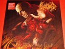 Bloodbath: Nightmares Made Flesh - Limited Edition LP Red Color Vinyl Record NEW