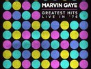 Marvin Gaye Greatest Hits Live In '76 (Vinyl) (US IMPORT)