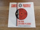 THE TYMES   HERE SHE COMES - RARE UK CAMEO PARKWAY ISSUE - EX
