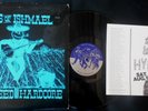 SONS OF ISHMAEL Hayseed Hardcore LP + Insert PUNK THRASH