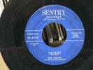 SUPER RARE 45  BOB VIDONE AND THE RHYTHM ROCKERS  UNTRUE on  SENTRY 1066