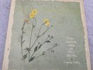 Virginia Astley, From Gardens Where We Feel Secure vinyl LP, 1983