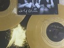 Wolf Alice My Love is Cool Gold Vinyl RARE - Double Vinyl & Signed Card