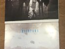 DEACON BLUE - RAINTOWN & When The World Knows Your Name VINYL LP
