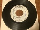 Monkees Promo 45 Daydream Believer, Goin Down Colgems 1967