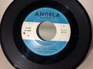 ANGIE & THE CITATIONS A-102 HEADACHE” 1963 ANGELA  GARAGE TAMAQUA,PENNSYLVANIA