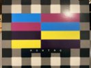 New Order - Blue Monday ‘95 - 12” Single Vinyl - VG+ Condition RCM Clean