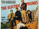 The ELECTRIC PRUNES   I had too much to dream     7