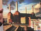 Pink Floyd Animals Vinyl Lp 2016