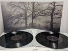 Wolf Alice Visions of a Life 2x Double Album 12