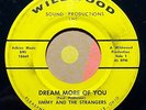 garage psych 7” JIMMY AND THE STRANGERS Dream More Walk On HEAR Wildwood $0 S&H
