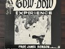 Prof. James Benson - The Gow-Dow Experience - LP Jazz Funk Private Press