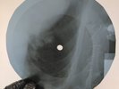 BOB DYLAN ONE OF US MUST KNOW X-Ray USSR Record Roentgen Bones Ribs Music Vinyl