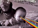 The Flaming Lips - Doing Dark Side of the Moon [New Vinyl LP] Bonus CD