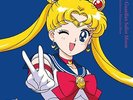 Various Artists Pretty Guardian Sailor Moon: The 30th Anniversary Memori (Vinyl)