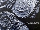 Vinyl Rock The Sundays Reading, Writing And Arithmetic LP, Album 1990 Indie Rock