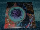 Grateful Dead Live At The Winterland December 31 1971 NEW Jerry Garcia Bob Weir