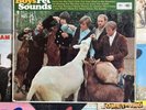 THE BEACH BOYS-  PET SOUNDS - ORIGINAL 1966 1ST PRESS UK MONO LP - VINYL ALBUM