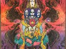 Reverse Of Rebirth Reprise LP Acid Mothers Temple NEW