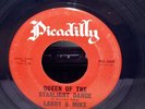HEAR • VG+ Doo-Wop Teen 45 Larry & Mike - Queen Of The Starlight Dance Picadilly