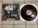 Polar Bear Club - Clash Battle Guilt Pride Lp Red Marble Vinyl Record /1000