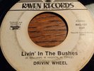 DRIVIN' WHEEL livin' in the bushes RAVEN 127 rare HARD SOUTHERN ROCK alabama VG