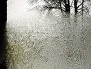 BON IVER - FOR EMMA, FOREVER AGO - VINYL LP *NEW & SEALED*