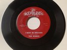 The Robins 1955 DOO WOP 45 I Must Be Dreamin / The Hatchet Man SPARK VG++ HEAR