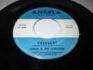 ANGIE & THE CITATIONS HEADACHE 45 7