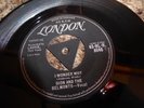DION AND THE BELMONTS : I WONDER WHY