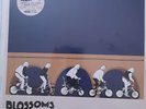 Blossoms - Cool Like You LTD EDITION DOUBLE VINYL LP - NEW/SEALED - REDUCED
