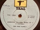 Fire Family Umwana Talaba Wild Afrobeat WOW WOW Zamrock Zambia 45 RPM MP3 Listen