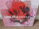 Garbage - Beautiful Garbage - Deluxe Vinyl 3LP Box Set
