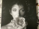 KATE BUSH REMASTERED IN VINYL 2 4 X VINYL BOX SET