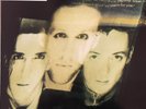 THE WILD SWANS-BRINGING HOME THE ASHES 1988 OOP Vinyl/LP Promo Amazing condition