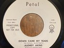 AUDREY AKINS 45 Down Came My Tears / I Still Love You PETAL  1030 PROMO N. Soul