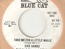 EVIE SANDS Take Me For A Little While Run Home BLUE CAT PROMO NORTHERN SOUL 45