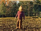 The Allman Brothers Band - Brothers and Sisters [180 Gram Vinyl LP] New & Sealed