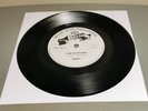 Ginty -I am the walrus Lennon/McCartney Beatles cover 7 inch single DOG 25