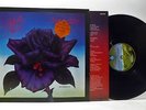 THIN LIZZY black rose (a rock legend) LP EX-/VG, 9102 032, vinyl, album, & inner