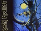 Iron Maiden Fear of the Dark (Vinyl) (US IMPORT)