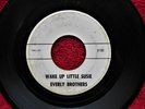 THE EVERLY BROTHERS   WAKE UP LITTLE SUSIE   ACETATE OR TEST PRESSING?????