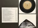 MAGNETIC FIELDS All The Umbrellas In London/Rats RARE VINYL 7