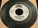 BOBBY FULLER FOUR - I Fought The Law / Little Annie Lou - 45 RPM Mustang 3014 Ex