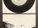 MAGNETIC FIELDS Why I Cry/The Man Amplifier RARE JAPAN-ONLY 7