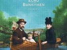 Echo and The Bunnymen - Flowers | [White Vinyl LP] | Demon