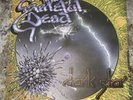 Grateful Dead Single Vinyl Dark Star Born Cross-Eyed - RARE VERSION RARE ART NEW
