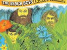The Beach Boys - Endless Summer [New Vinyl LP] Ltd Ed, 180 Gram