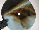 FRANKIE FORD SEA CRUISE X-Ray USSR Record Roentgen Bones Ribs Music Vinyl